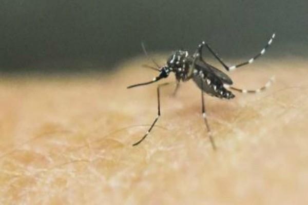 कबीर नगर के कई घरों में मिला डेंगू मच्छर का लार्वा