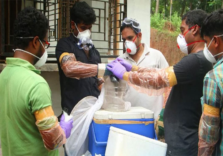  निपाह वायरस से केरल में 86 लोग डॉक्टर की निगरानी में, केंद्रीय मंत्री ने भेजी स्वास्थ्य टीम